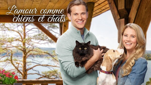 L'amour comme chiens et chats