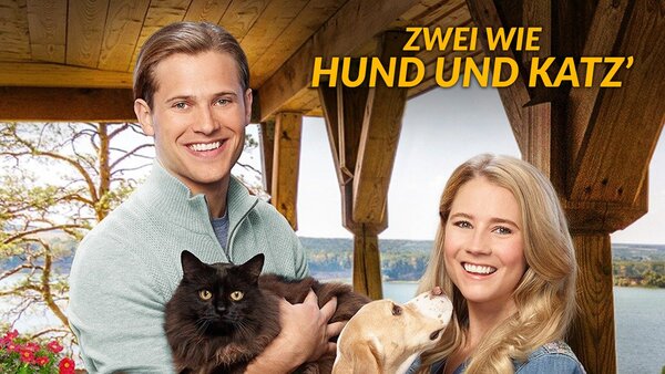 Zwei wie Hund und Katz'