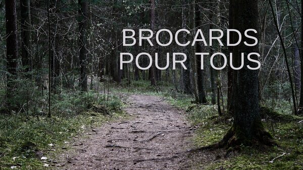 Brocards pour tous