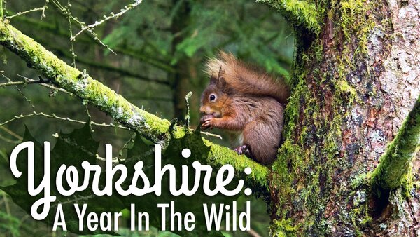 Yorkshire: A Year In The Wild