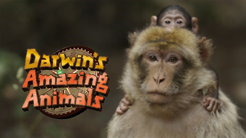 Darwin's Amazing Animals