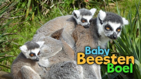 BabyBeestenBoel