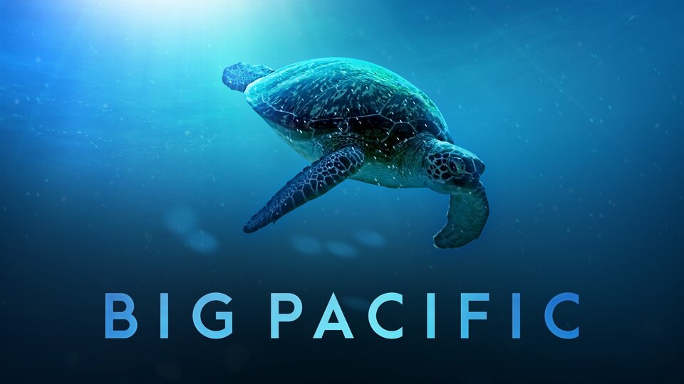 Big Pacific