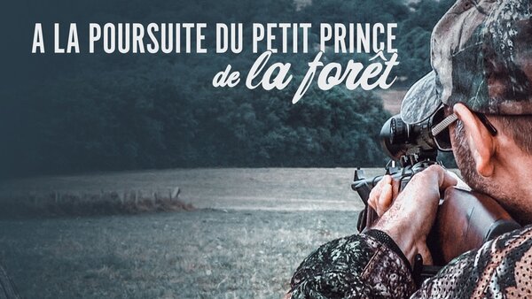 A la poursuite du petit prince de la forêt