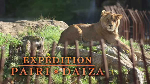 Expédition Pairi Daiza
