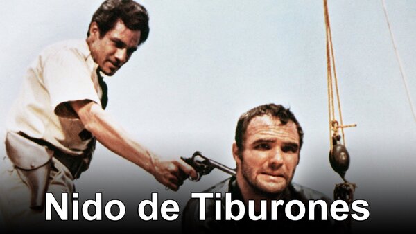 Nido de tiburones