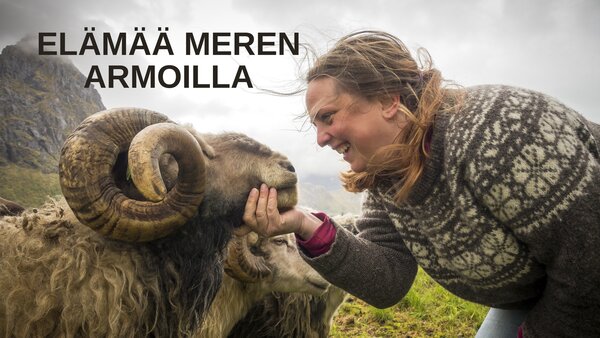 Elämää meren armoilla