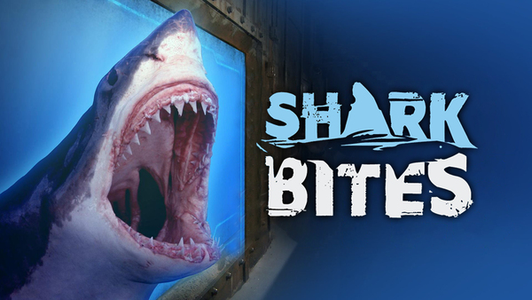 Shark Bites