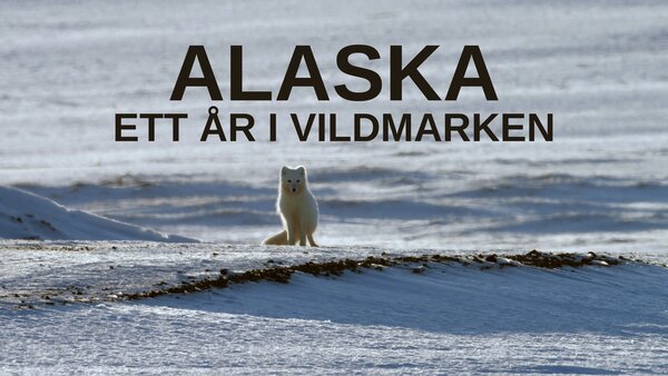 Alaska: Ett år i vildmarken