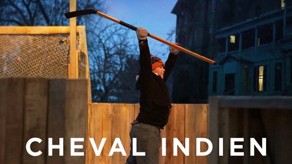 Cheval indien