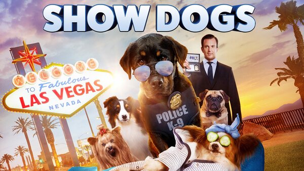 Show Dogs