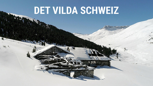 Det vilda Schweiz