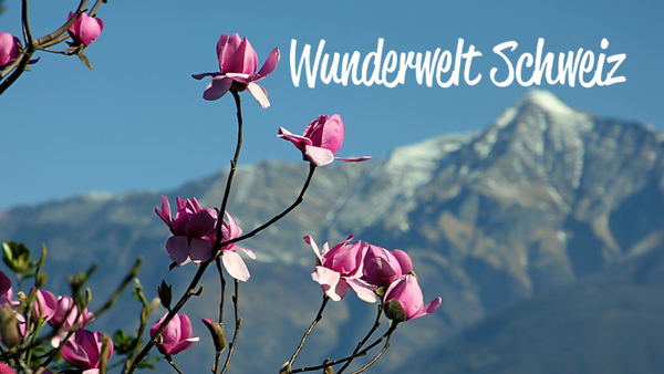 Wunderwelt Schweiz