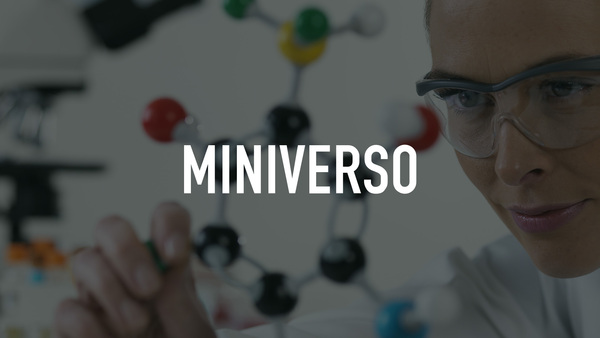 Miniverso
