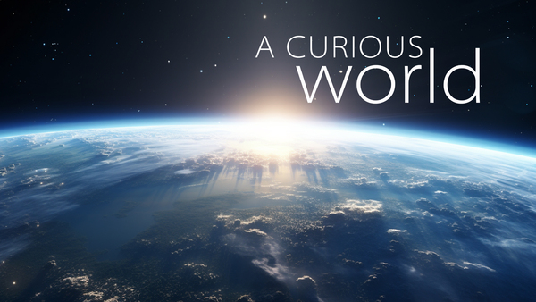 A Curious World