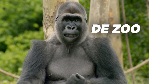 De Zoo