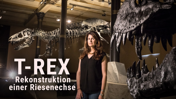 T-REX - Rekonstruktion einer Riesenechse