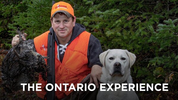 The Ontario Experience