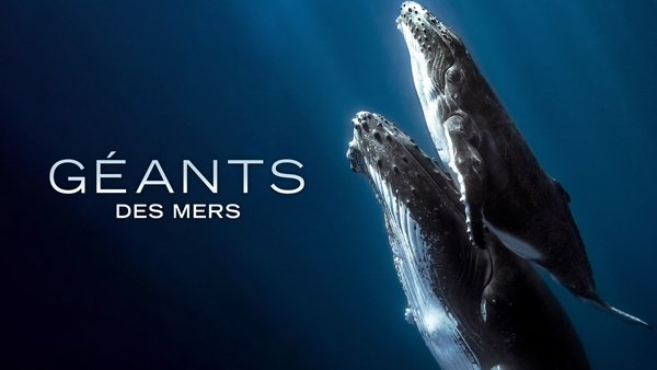 Géants des mers