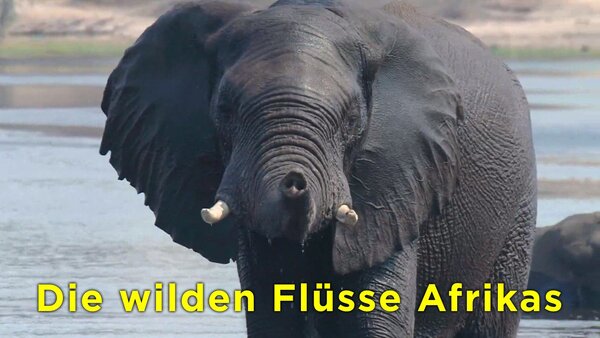 Die wilden Flüsse Afrikas