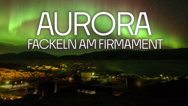 Aurora - Fackeln am Firmament