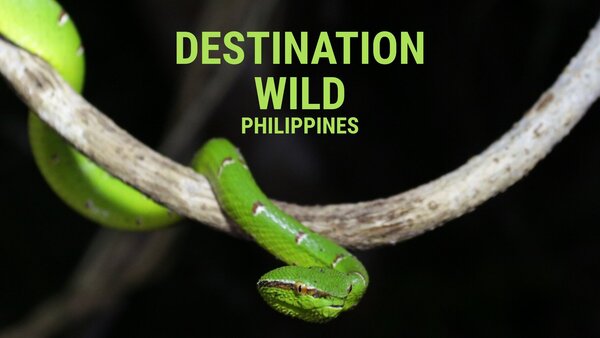Destination Wild : Philippines