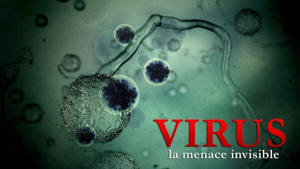 Virus: la menace invisible