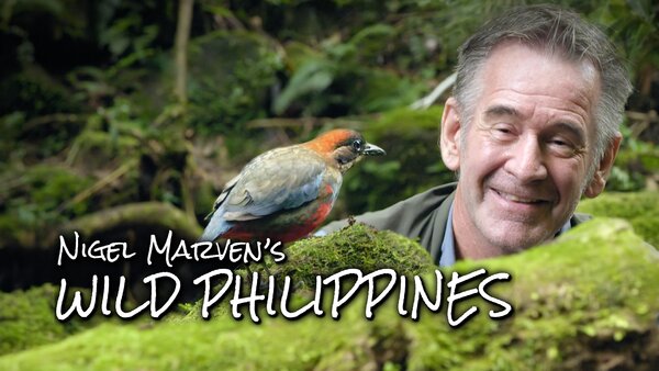 Nigel Marven's Wild Philippines