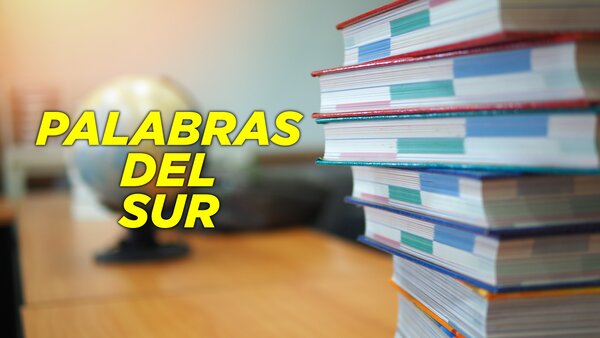 Palabras del sur