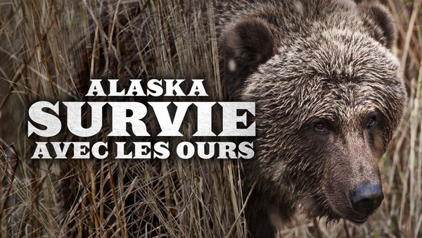 Alaska, survie avec les ours
