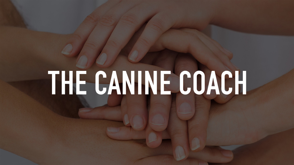 The Canine Coach