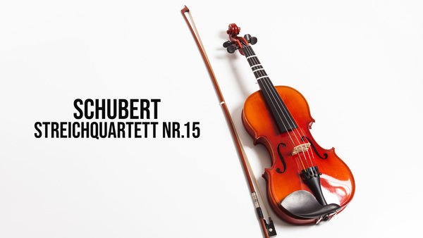 Schubert - Streichquartett Nr. 15