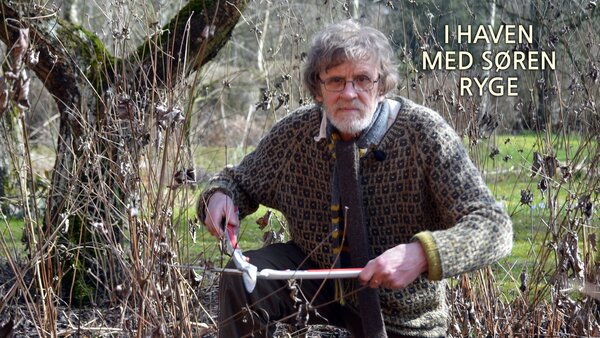I haven med Søren Ryge