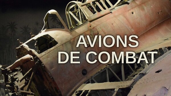 Avions de combat