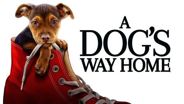 A Dog's Way Home