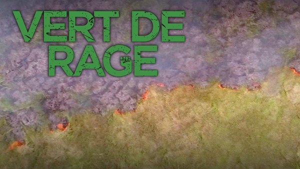 Vert de rage