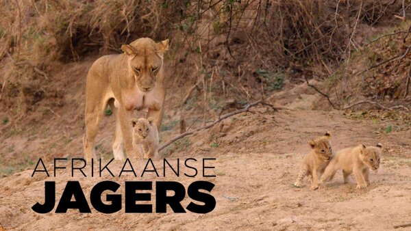 Afrikaanse jagers