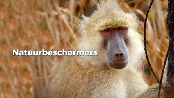 Natuurbeschermers