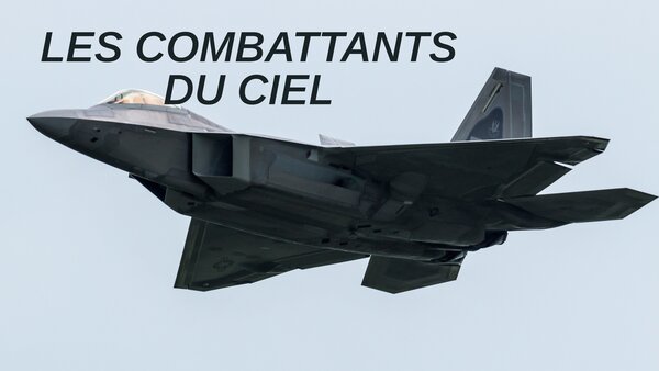 Les combattants du ciel