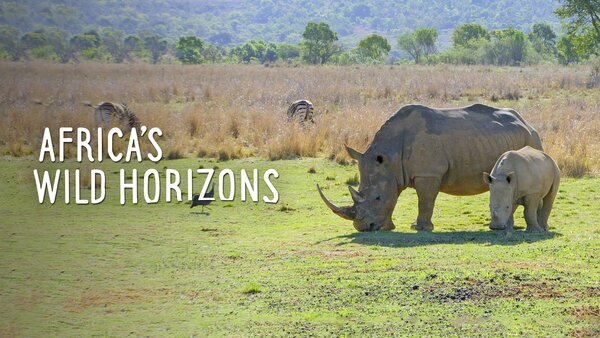 Africa's Wild Horizons