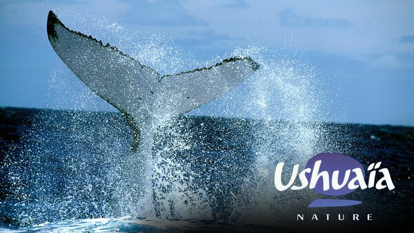 Ushuaïa Nature