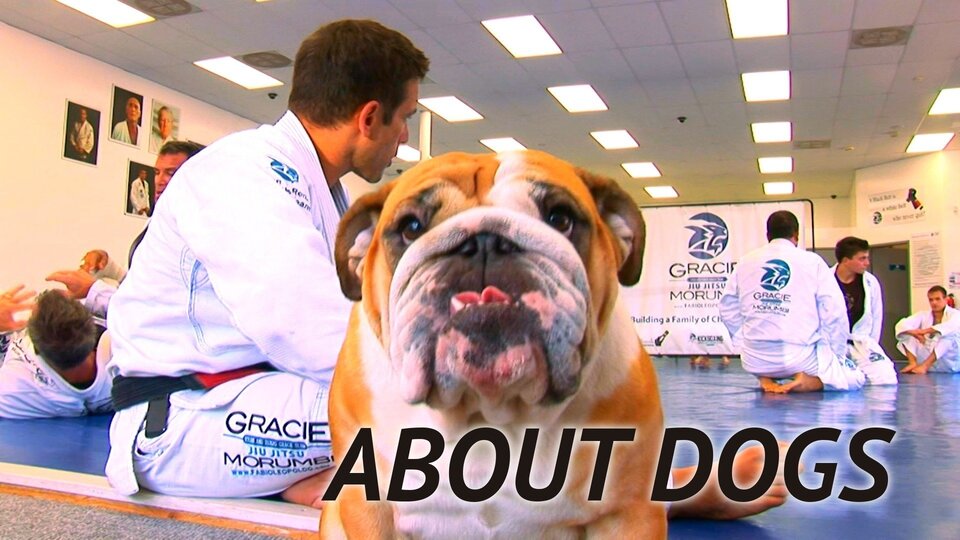 About Dogs