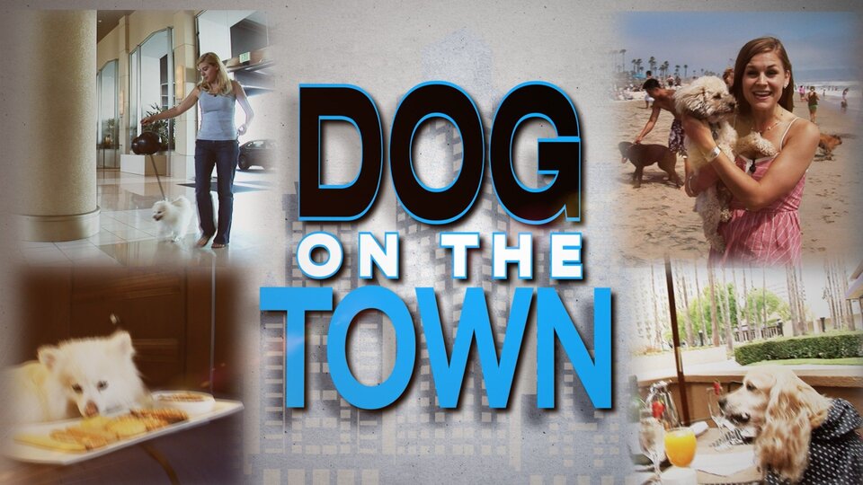 Dog on the Town