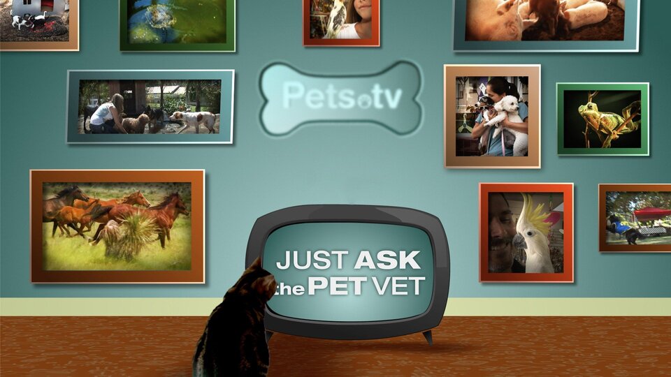 Just Ask the Pet Vet