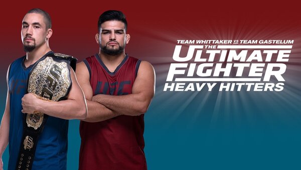 The Ultimate Fighter: Heavy Hitters