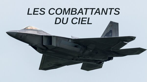 Les combattants du ciel