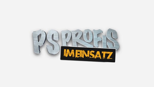 Die PS Profis im Einsatz