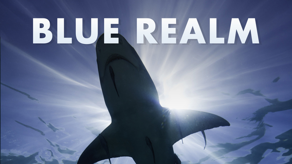 Blue Realm