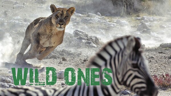 Wild Ones