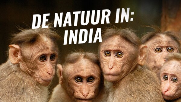 De natuur in: India